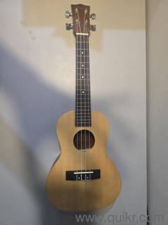 The Ukulele 