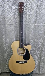 Guitar,capo,picks,bag,strap