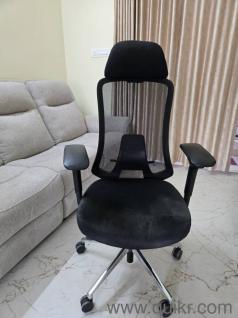 Sleep Company ErgoSmart Max Office Chair(Flex)