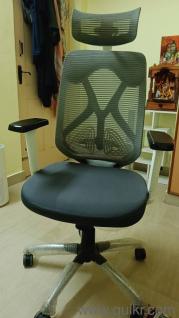Ergonomic back supporting chair