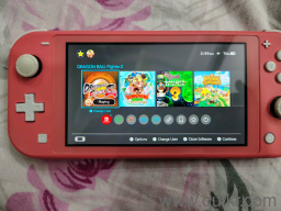 MODDED SWITCH LITE WITH SD CARD AND ORIGINAL CHARGER 