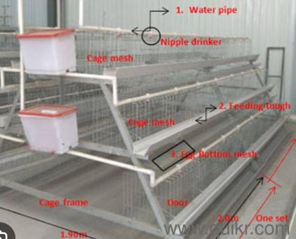 Layer Chicken cage (Excellent Condition)