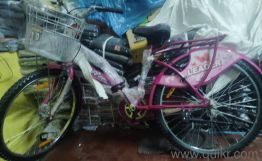 Leader bicycle New