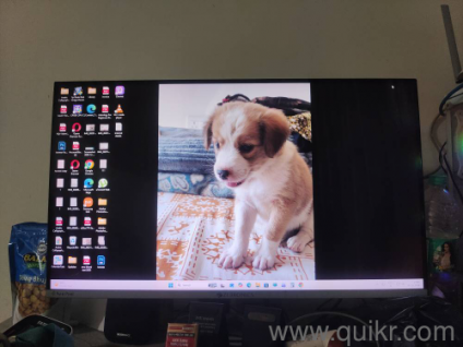 Intel i5 12th gen assembled with 27 fhd monitor 