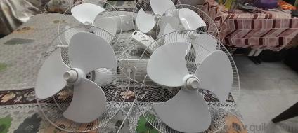 Wall Fan for Sale Crompton