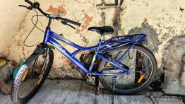 Hero Bonfire Bicycle