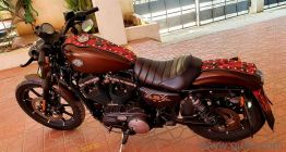 Harley Davidson Iron 883 - 2020