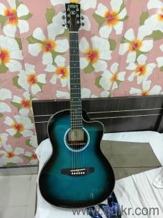 Guitar   