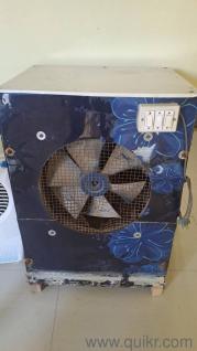Cooler 1 year old