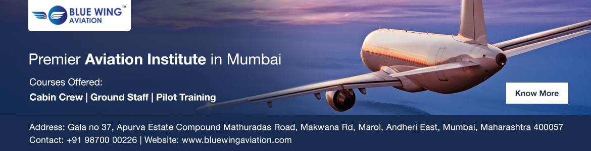 Blue Wing Aviation
